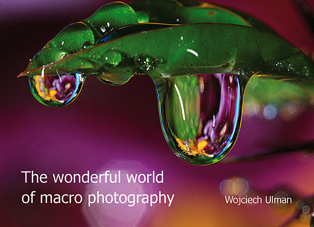 Cudowny Świat Makrofotografii